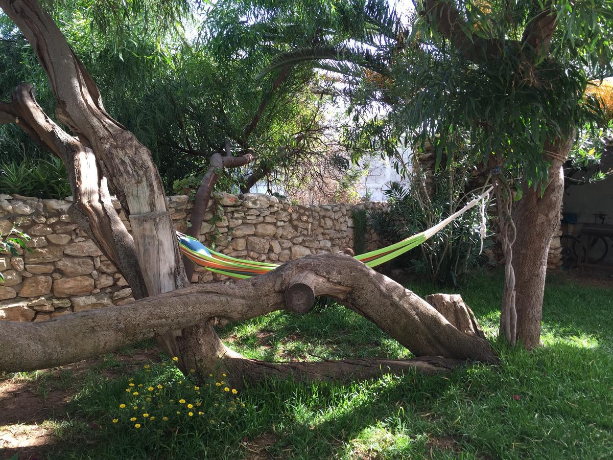 Auberge De La Plage Sidi Kaouki Extérieur photo